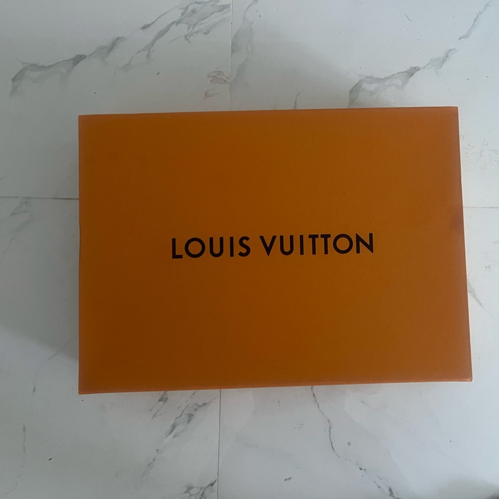 Louis Vuitton luggage box
